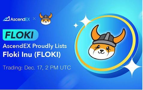 Floki会超越狗狗币吗?Floki值得投资吗?