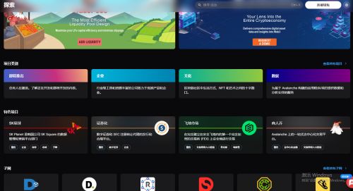 怎么进入AVAX币官网网站
