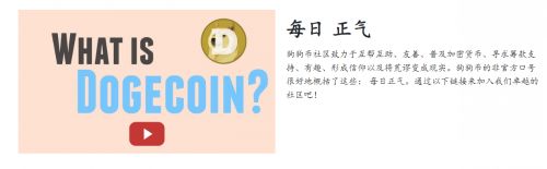 怎么进入DOGE币官网网站