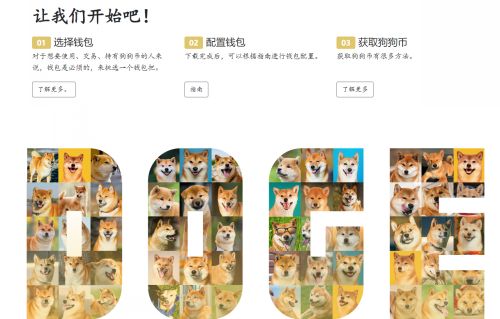 怎么进入DOGE币官网网站