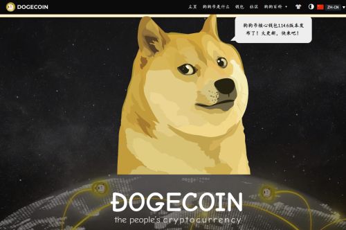 怎么进入DOGE币官网网站
