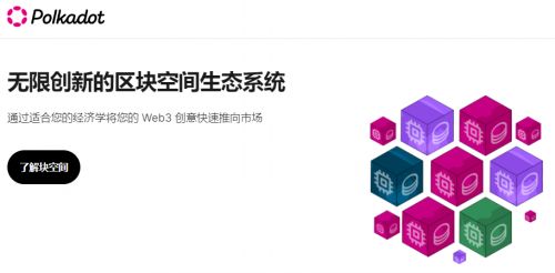 怎么进入Polkadot(DOT)币官网网站
