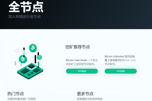 怎么进入BCH币官网网站