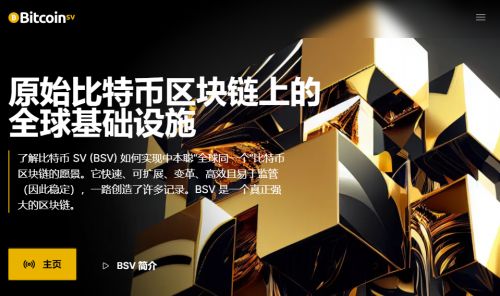 怎么进入BSV币官网网站