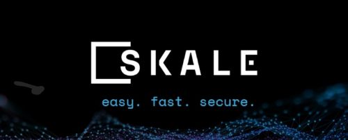 什么是SKALE Network (SKL)币?
